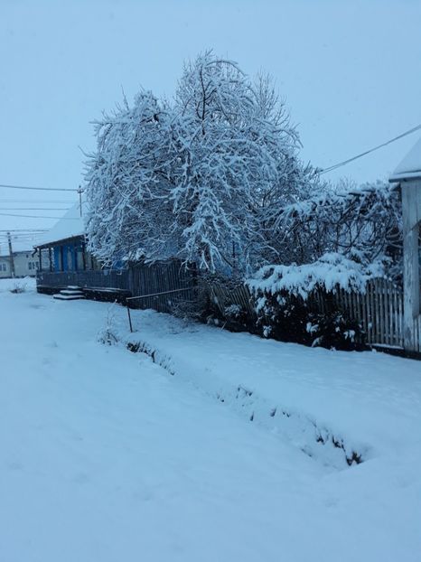 20180209_075420[1] - Iarna 2017-2018