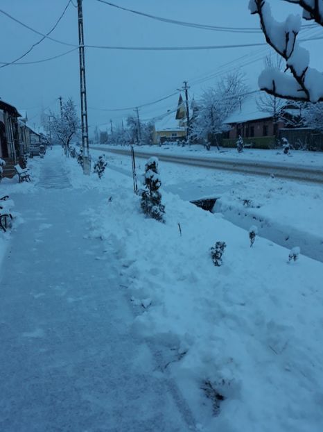 20180209_075546[1] - Iarna 2017-2018