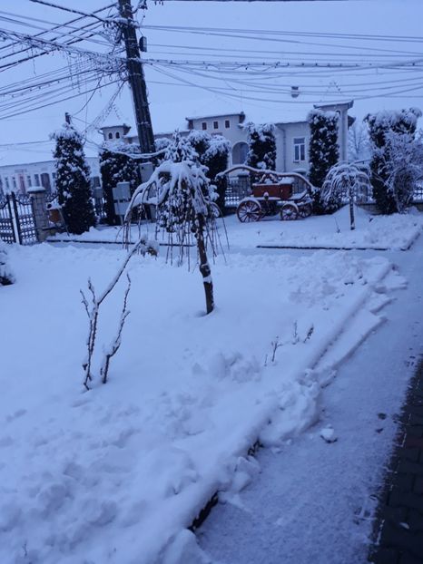 20180209_080054[1] - Iarna 2017-2018