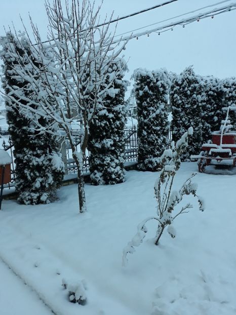 20180209_080059[1] - Iarna 2017-2018