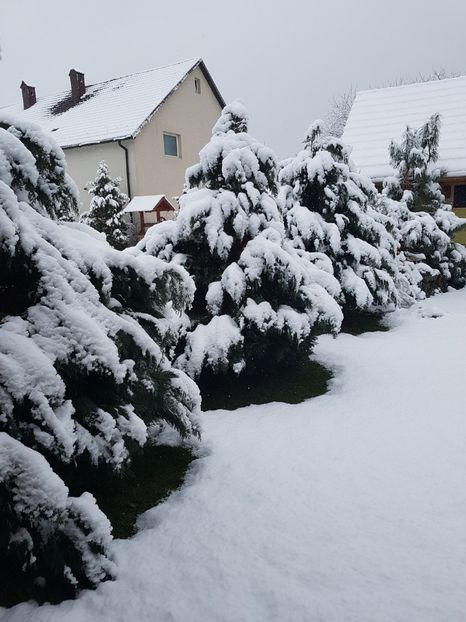  - In asteptarea primaverii 2018