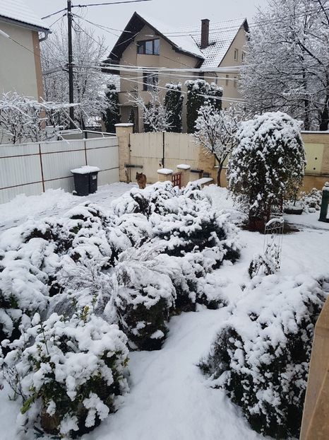  - In asteptarea primaverii 2018