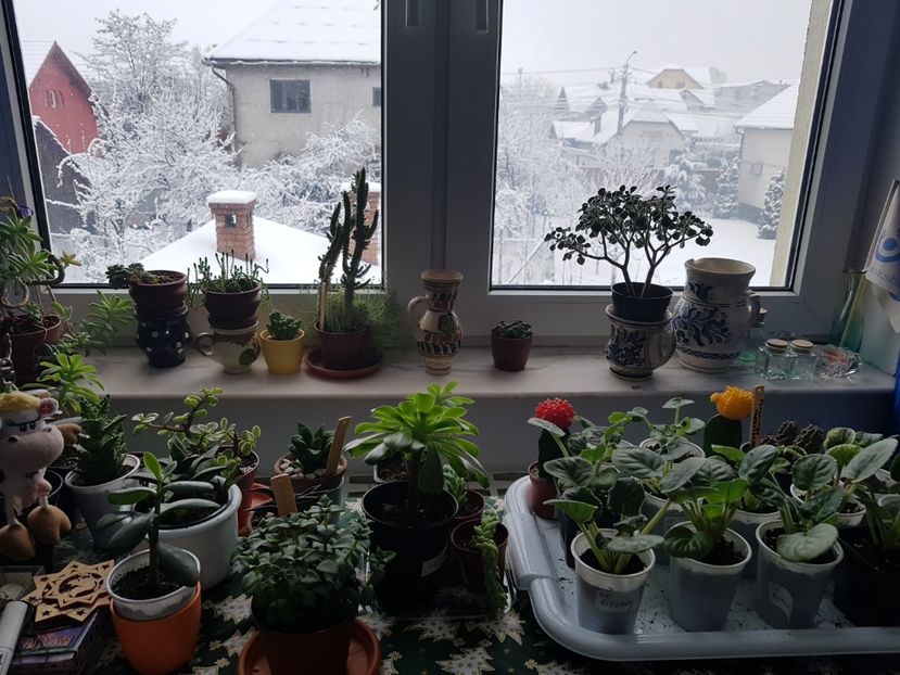  - In asteptarea primaverii 2018