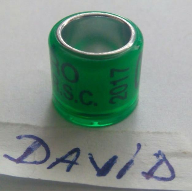 2017-Romania - Inele colectie de vanzare