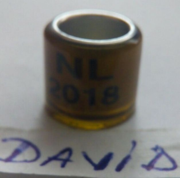 2018-Olanda - Inele colectie de vanzare