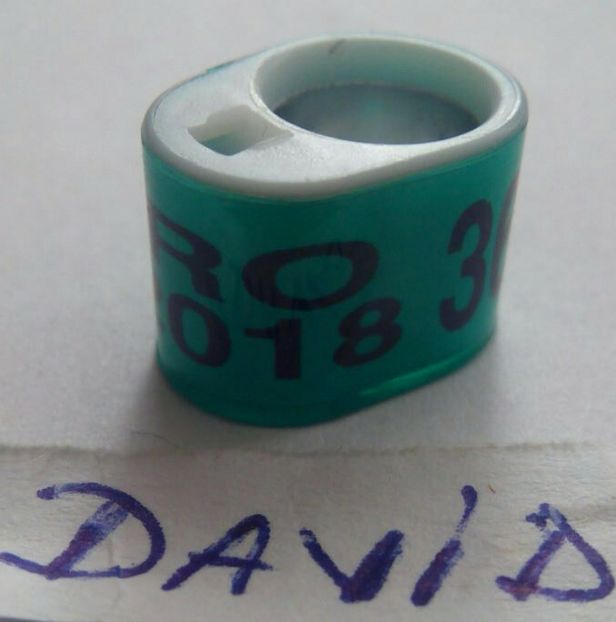 2018-Romania - Inele colectie de vanzare