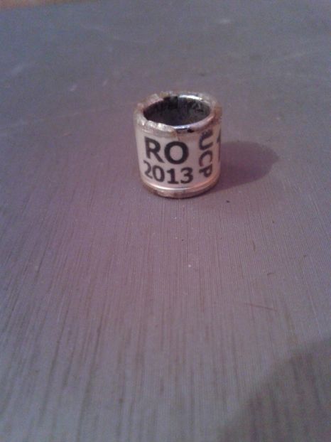 Ro ucp 2013 - Colectie inele de Romania
