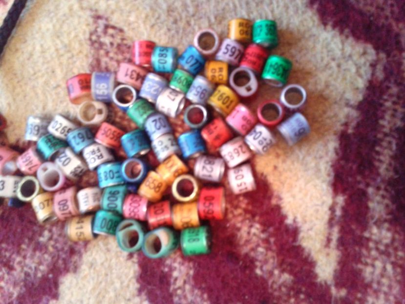  - Colectie inele de Romania