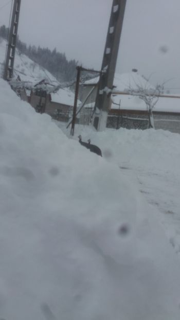  - 05 Arhiva Bibilici - Picheri