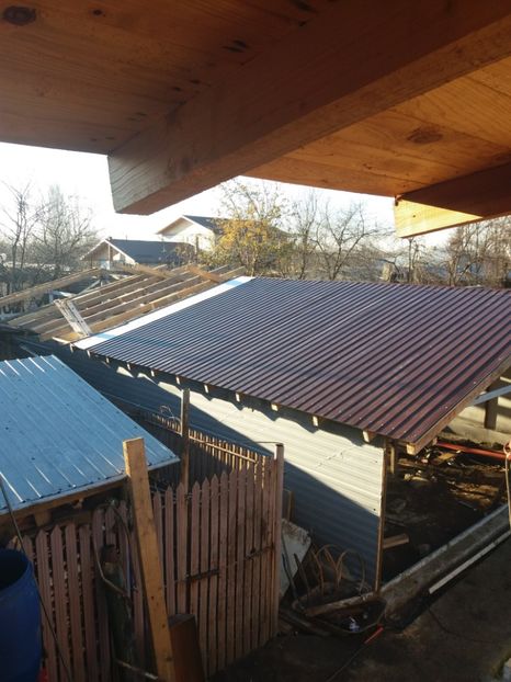  - 2018-Hala crescut pui