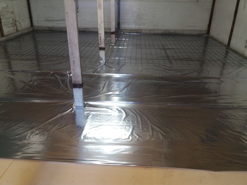  - 2018-Hala crescut pui