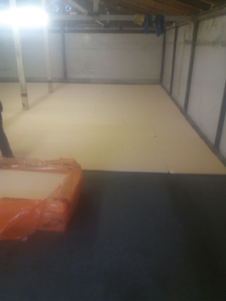  - 2018-Hala crescut pui