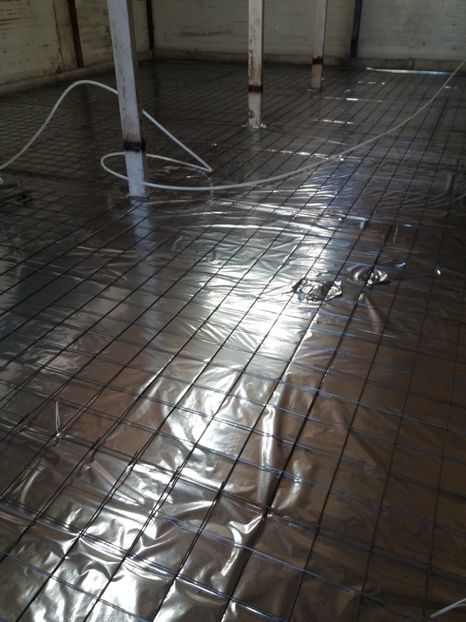  - 2018-Hala crescut pui