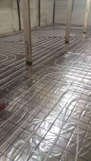 IMG-20180209-WA0012 - 2018-Hala crescut pui