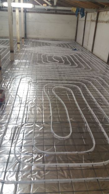 IMG-20180209-WA0008 - 2018-Hala crescut pui