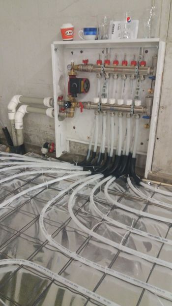 IMG-20180209-WA0010 - 2018-Hala crescut pui