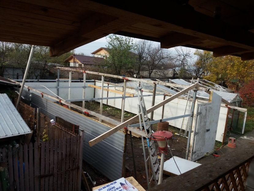  - 2018-Hala crescut pui