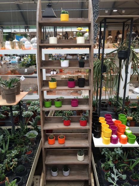 2.02.2018 - Modele de Raft