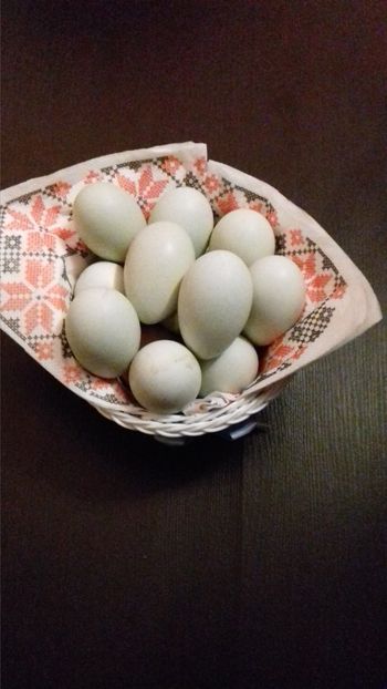  - OUA REPRODUCTIE 20 20