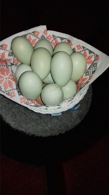  - OUA REPRODUCTIE 20 20