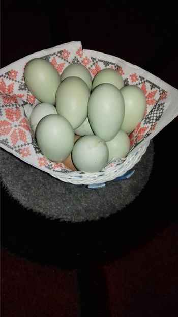  - OUA REPRODUCTIE 20 20