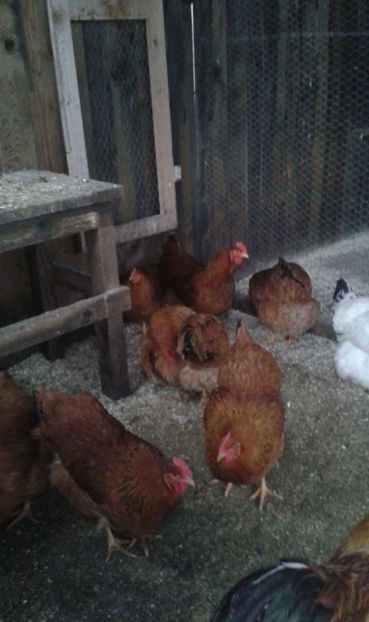 received_550324688663759 - New Hampsire