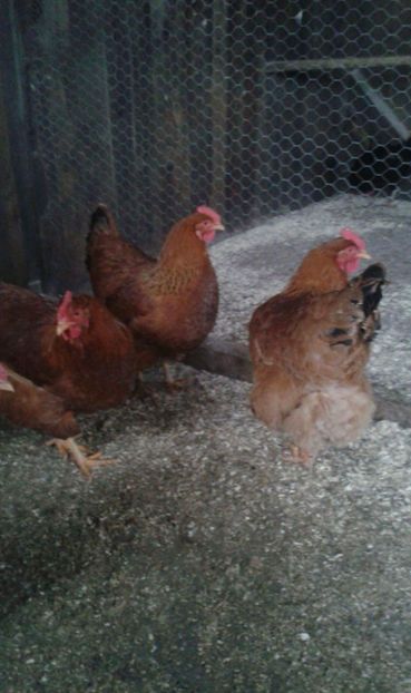 received_550324635330431 - New Hampsire