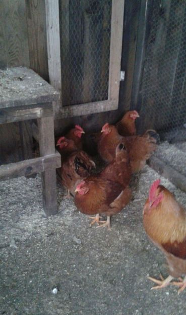 received_550324585330436 - New Hampsire