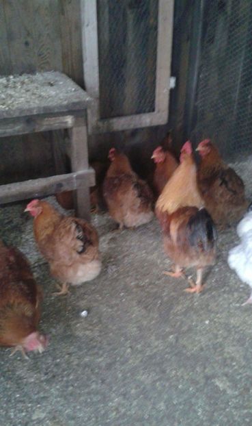 received_550324541997107 - New Hampsire