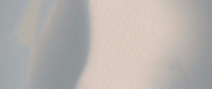  - 01 background - 01