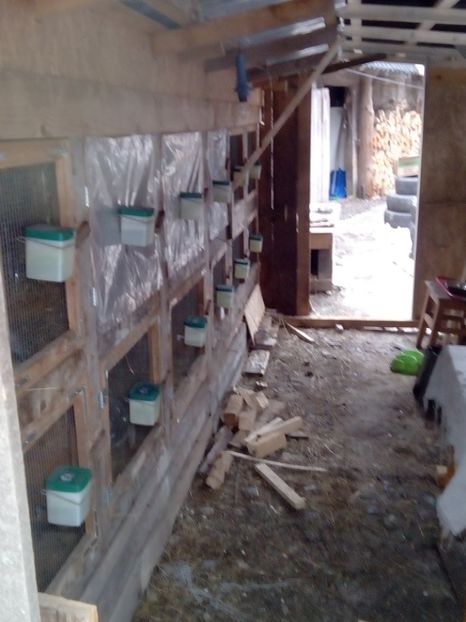  - CUSTILE  IEPURASILOR