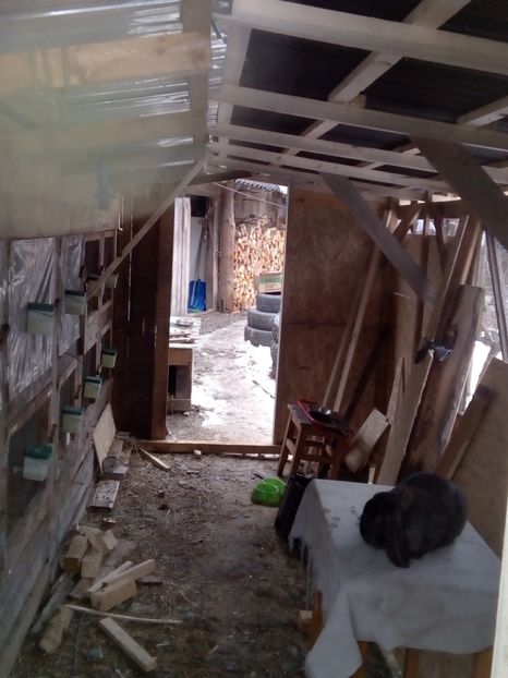  - CUSTILE  IEPURASILOR