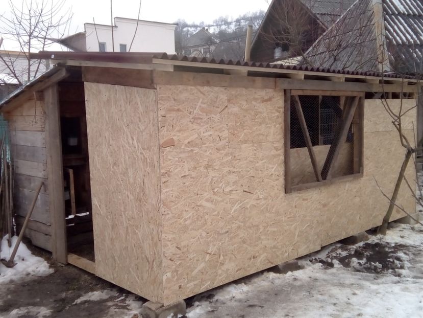  - CUSTILE  IEPURASILOR