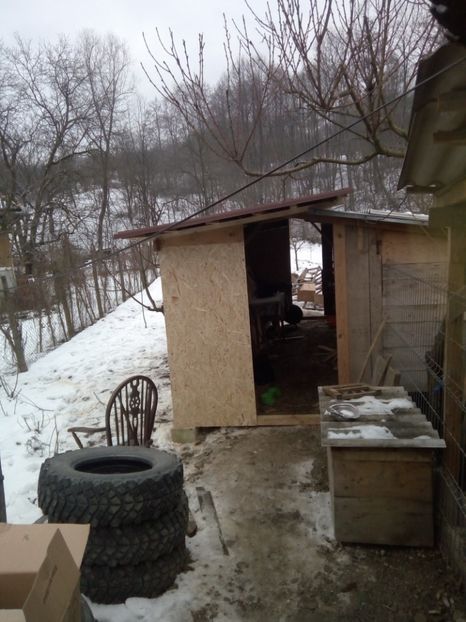  - CUSTILE  IEPURASILOR