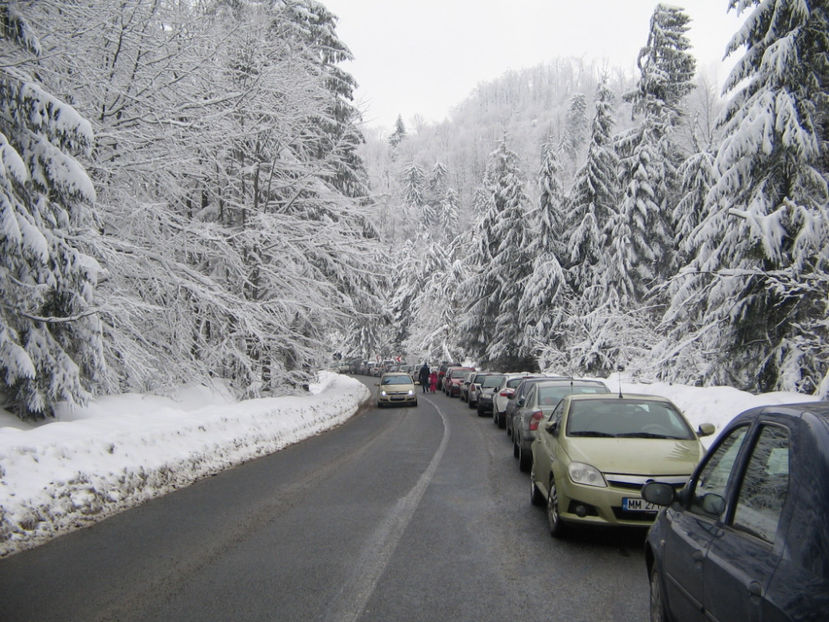 IMG 02 - Săniuș la Cavnic