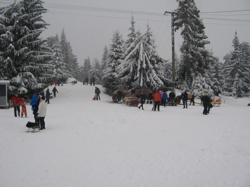 IMG 04 - Săniuș la Cavnic