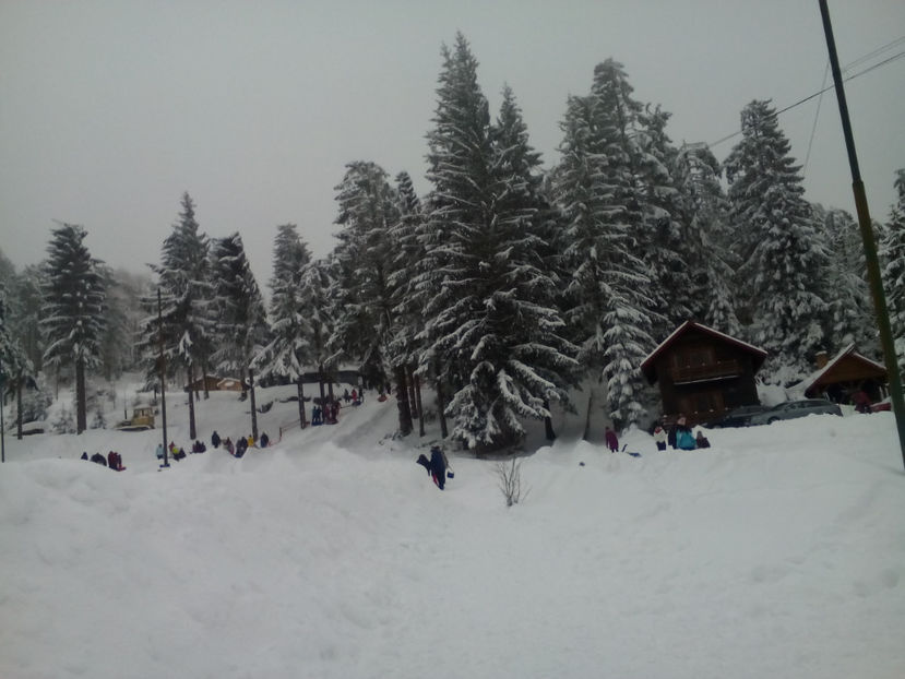 IMG 28 - Săniuș la Cavnic