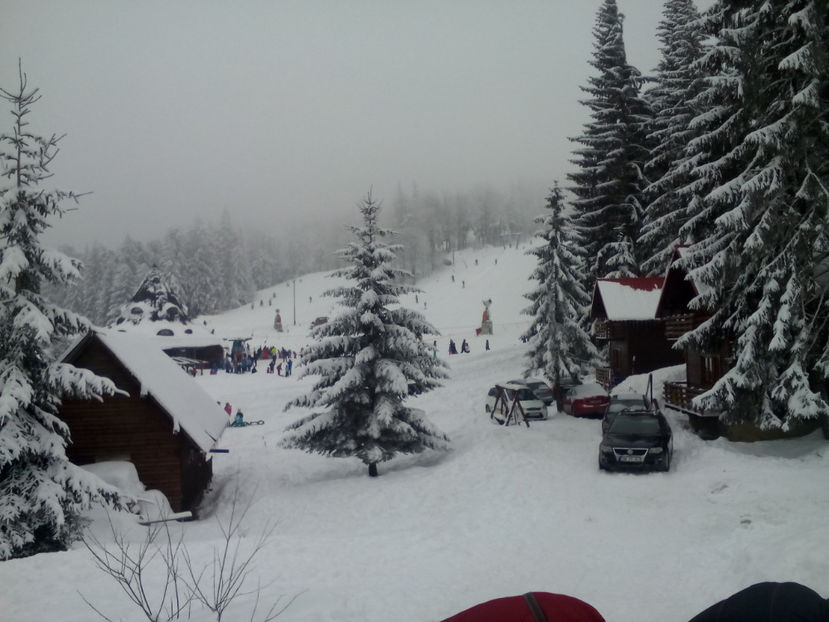 IMG 40 - Săniuș la Cavnic