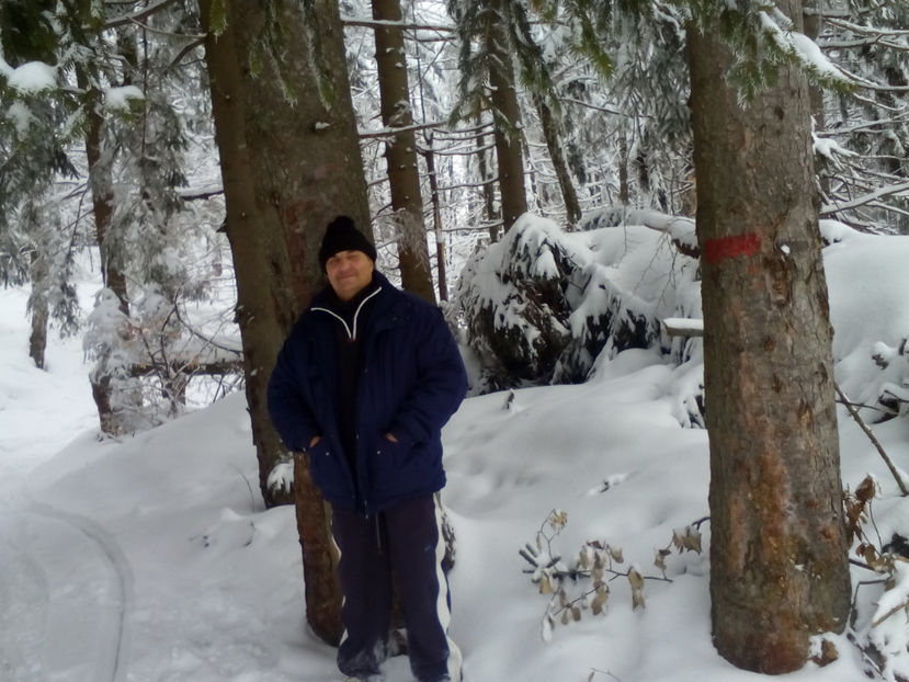 IMG 73 - Săniuș la Cavnic