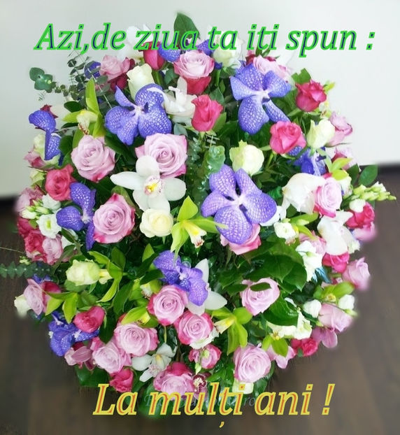 La multi ani ! - Felicitari pentru diverse zile