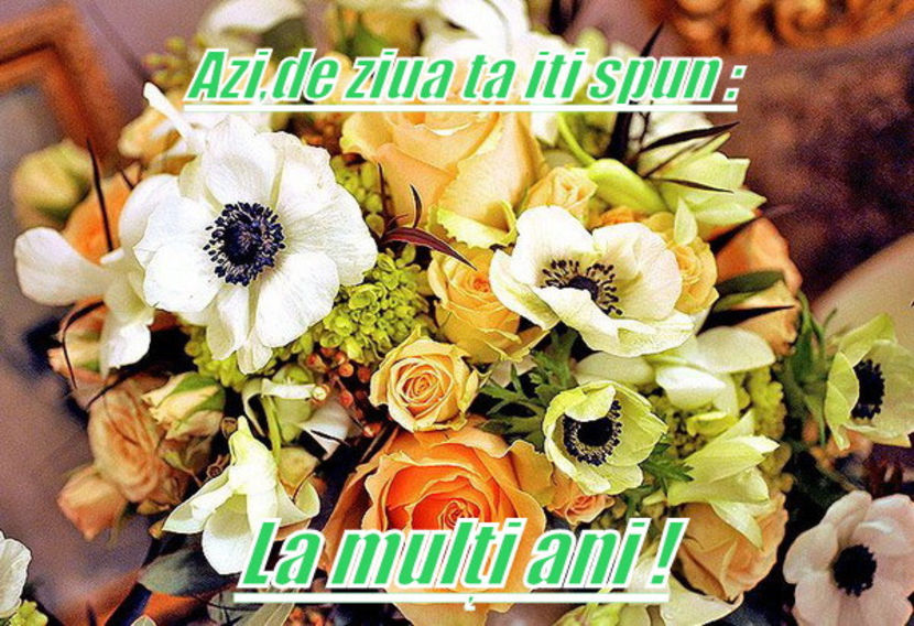 La multi ani ! - Felicitari pentru diverse zile