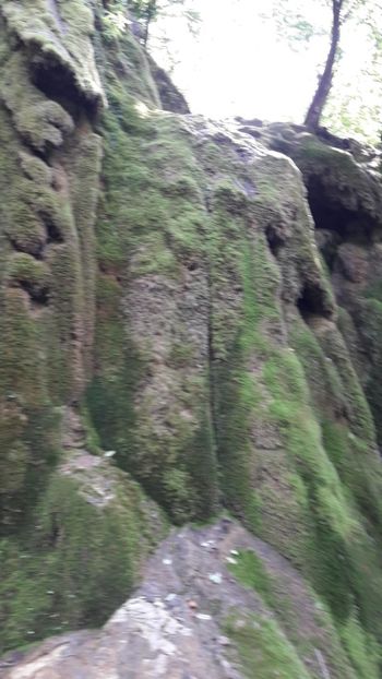  - Concediu 2017 Cheile Nerei