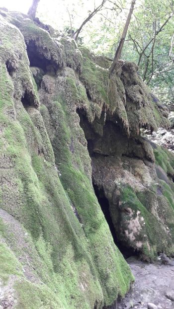  - Concediu 2017 Cheile Nerei