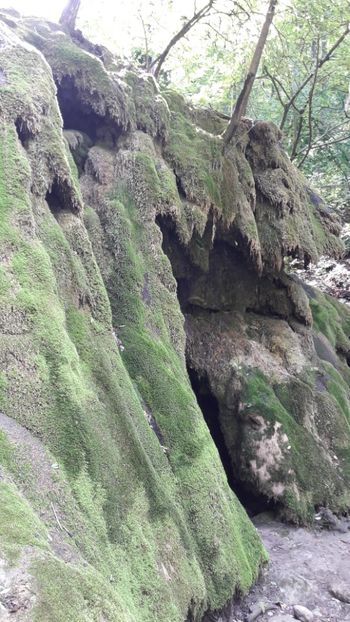  - Concediu 2017 Cheile Nerei