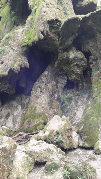  - Concediu 2017 Cheile Nerei