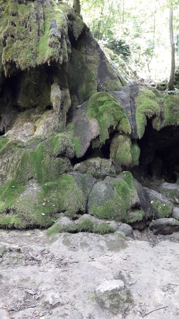  - Concediu 2017 Cheile Nerei