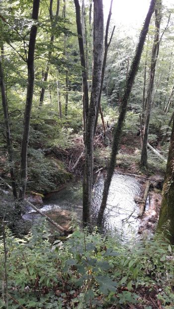  - Concediu 2017 Cheile Nerei