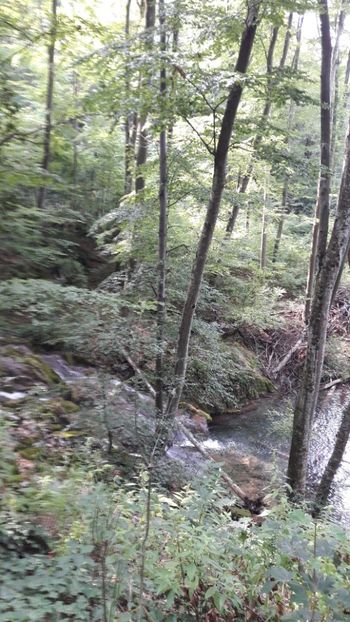  - Concediu 2017 Cheile Nerei