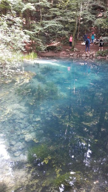  - Concediu 2017 Cheile Nerei