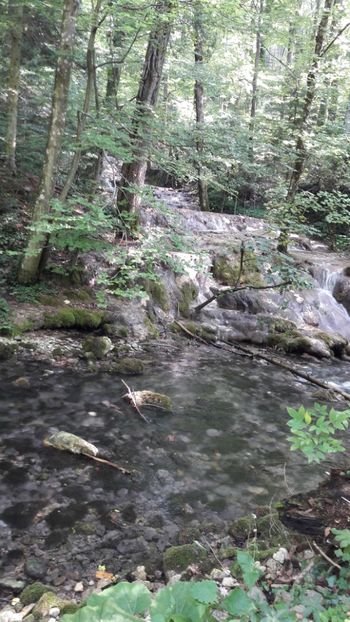  - Concediu 2017 Cheile Nerei